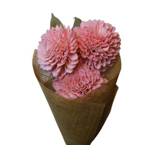Coral pink bigger dahila