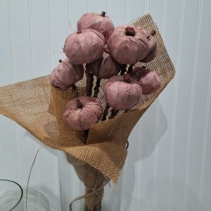 Old pink pumpkin