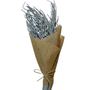 Grey coco jhar