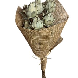 Natural date artichoke
