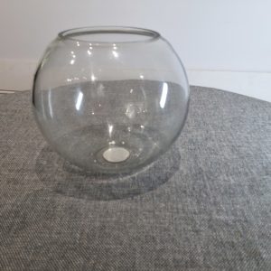 Vance clear small bowl glass vase