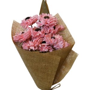 Coral pink Germini flower