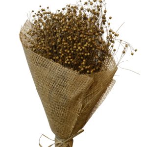 Natural 150grams lino grass