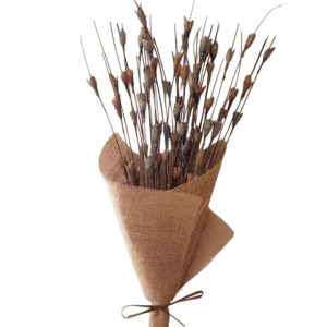 Natural lily branch