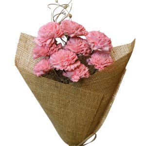 Coral pink carnation