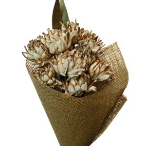 Corn yellow Spiker flower skin