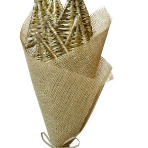Gold browny arrow