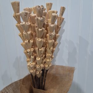 Natural palm pine