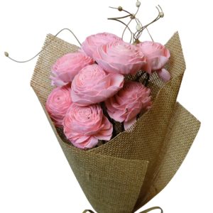 Coral pink beauty rose