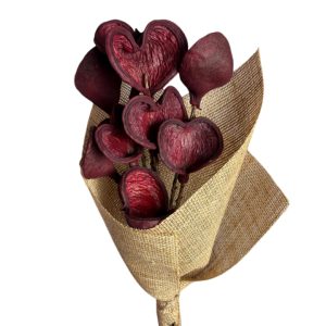 Red badam nut