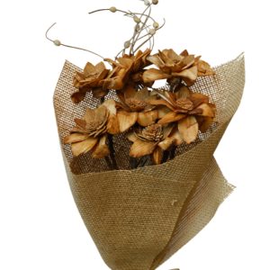Rust flannel flower