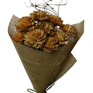 Rust folded dahila