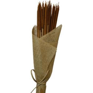 Rust cattails
