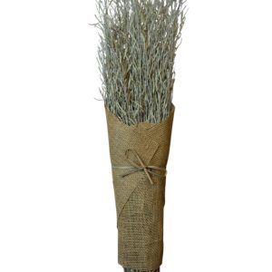 Sage green Mustard grass