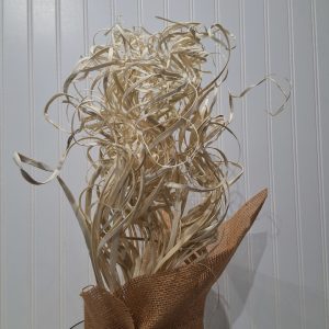Natural 200gram ting curly