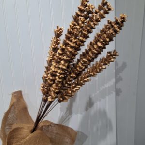 Rust shola bakuli
